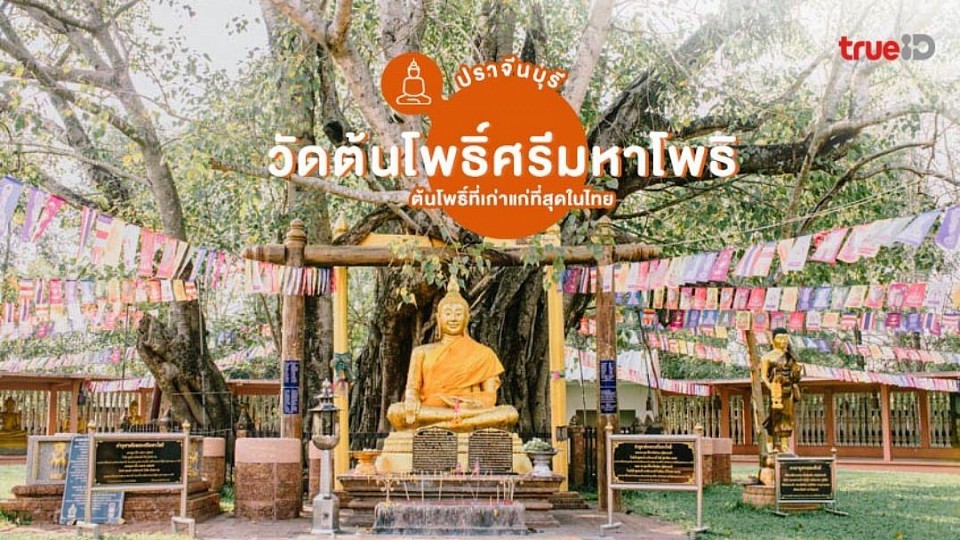 โทร.0837866525